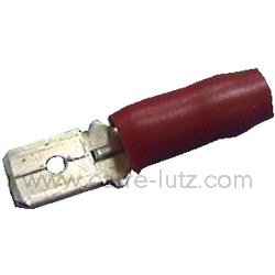 COSSE MALE    ISOLEE ROUGE