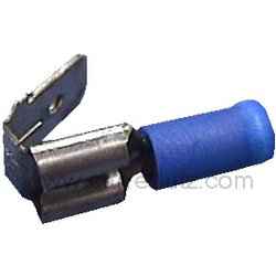 COSSE MALE FEMELLE ISOLEE BLEU