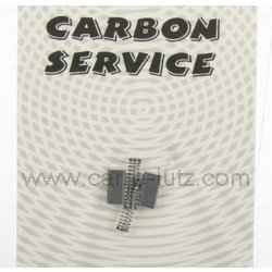 CHARBON MOTEUR 5X4X10 MM  X2