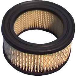FILTRE POUR MOTEUR B&S