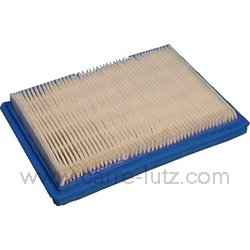 FILTRE POUR MOTEUR B&S