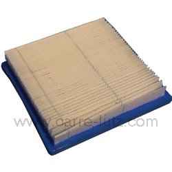 FILTRE POUR MOTEUR B&S