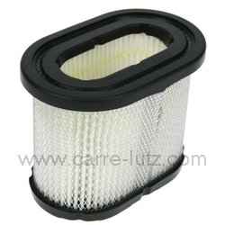 FILTRE POUR MOTEUR B&S
