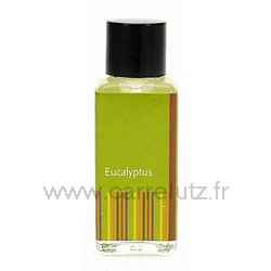 Huile parfume eucalyptus pour brule parfum