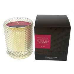 Bougie parfum�e pied figuier