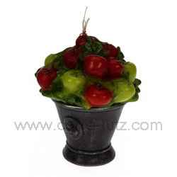 Semis de tomate cerise parfum�