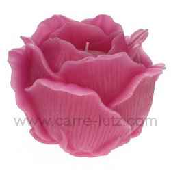Rose photophore PM pivoine
