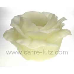 Rose photophore GM blanc