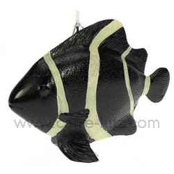 Poisson noir et blanc