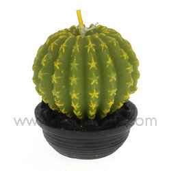 Cactus TPM