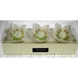 Boite de 3 recharges hellebore