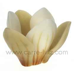 Crocus photophore lin