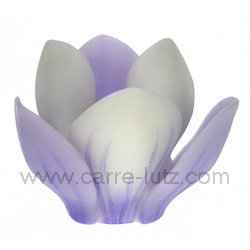 Crocus photophore sucre mauve