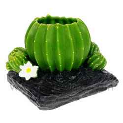 Cactus photophore avec lumignon