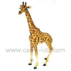 girafe
