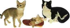 Collection Country artists , les chats