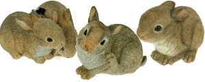 Collection Country artists , les lapins