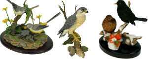 Collection Country artists , les oiseaux