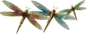 Emaux de limoge libellule